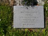 image of grave number 386851